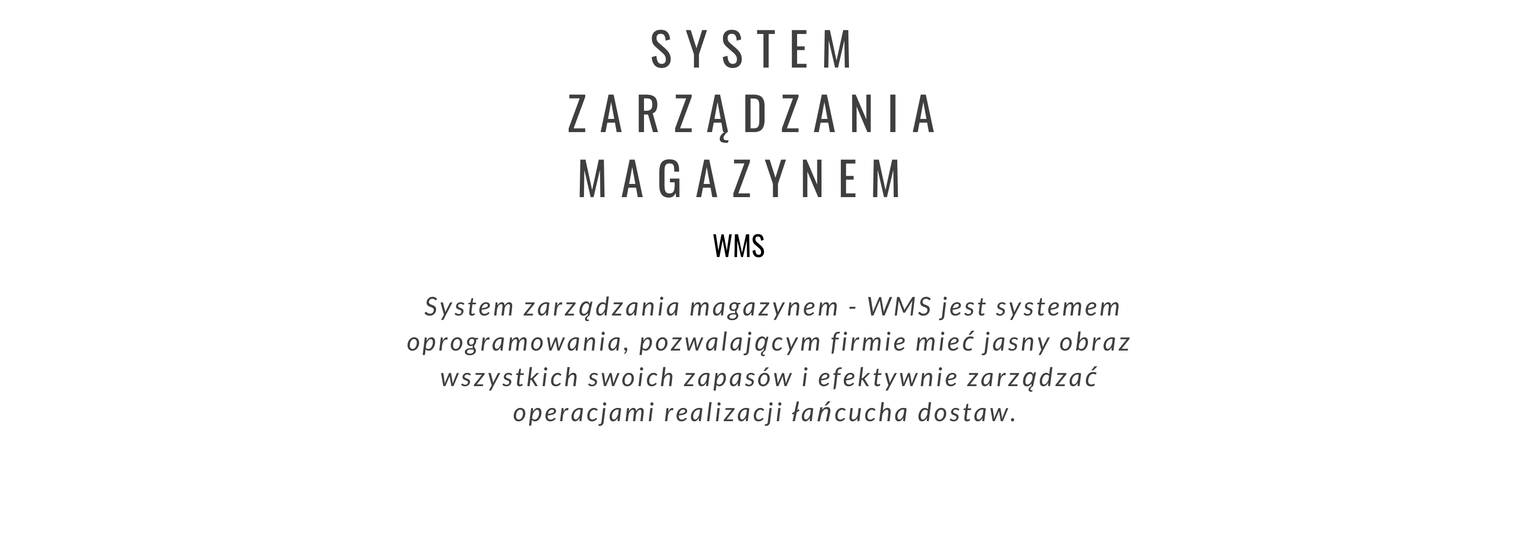 system zarządzania magazynem, wms